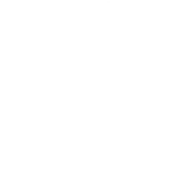 چهرک کاربر تیم تحریریه ایده نگار